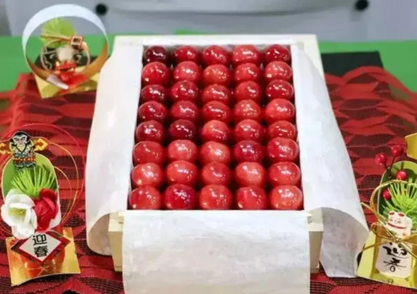 Japonya’da Yılın İlk Kirazı Rekor Fiyata Satıldı